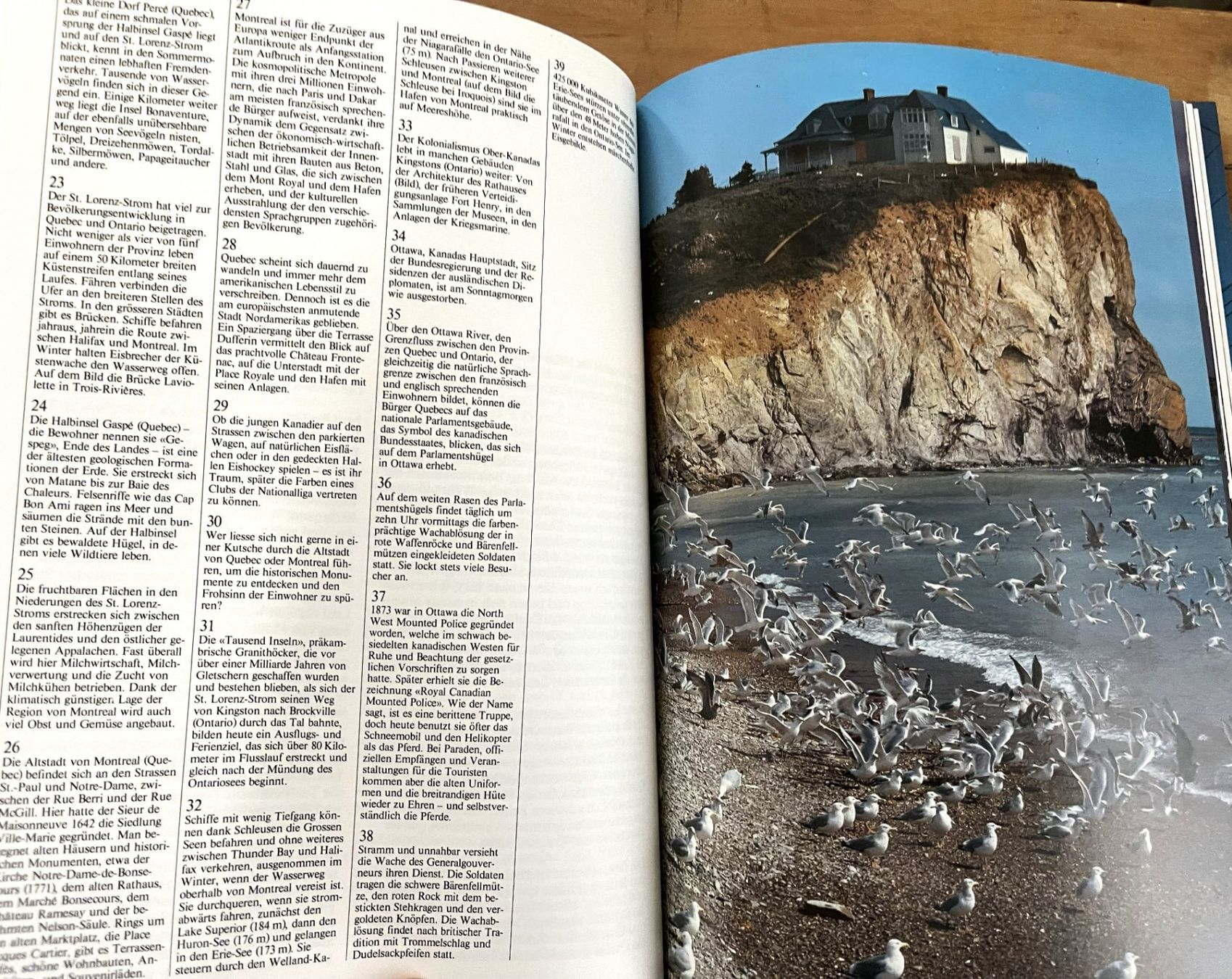 Libri: Silva Verlag, Kanada , 1982 – Usato da Oftringen venduto da Vucki 6