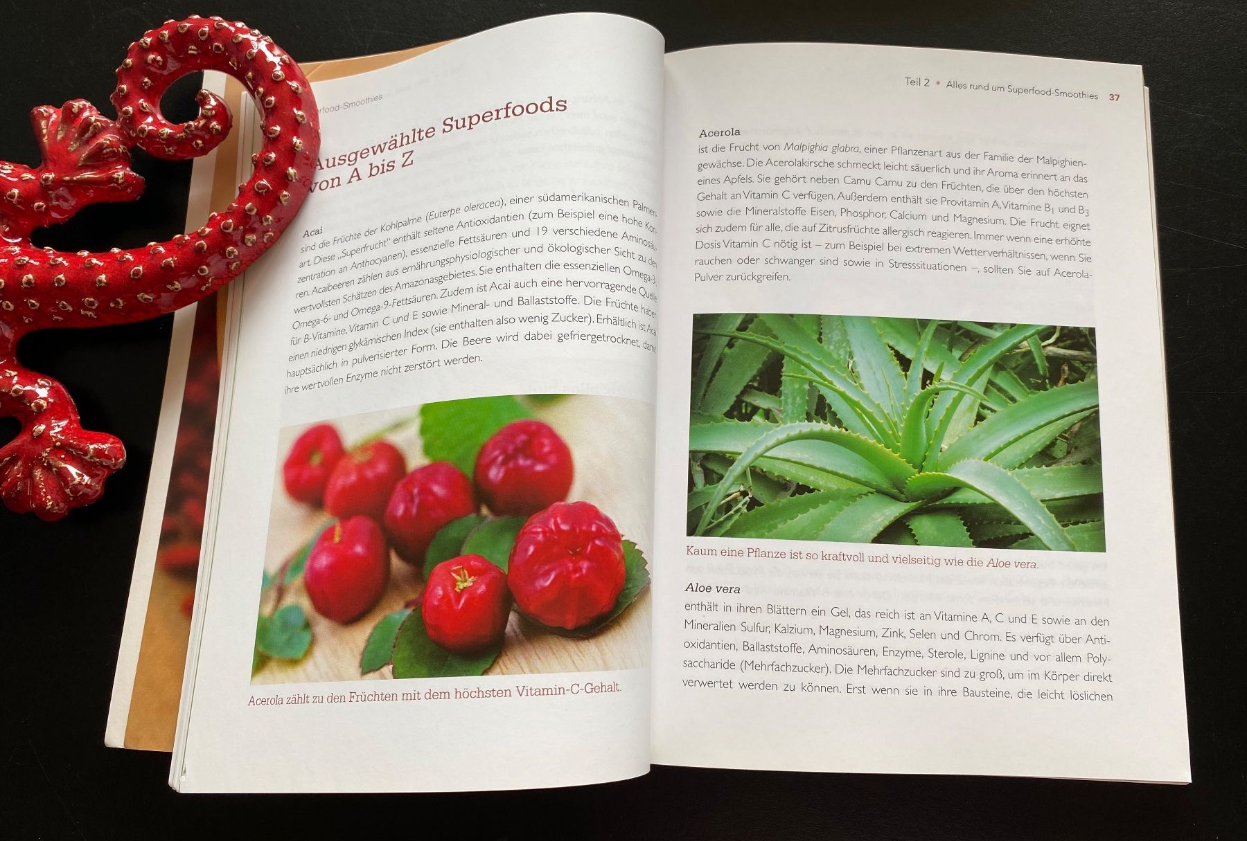 Libri: SUPERFOOD SMOOTHIES – Usato da Nussbaumen AG venduto da schuba2000 2