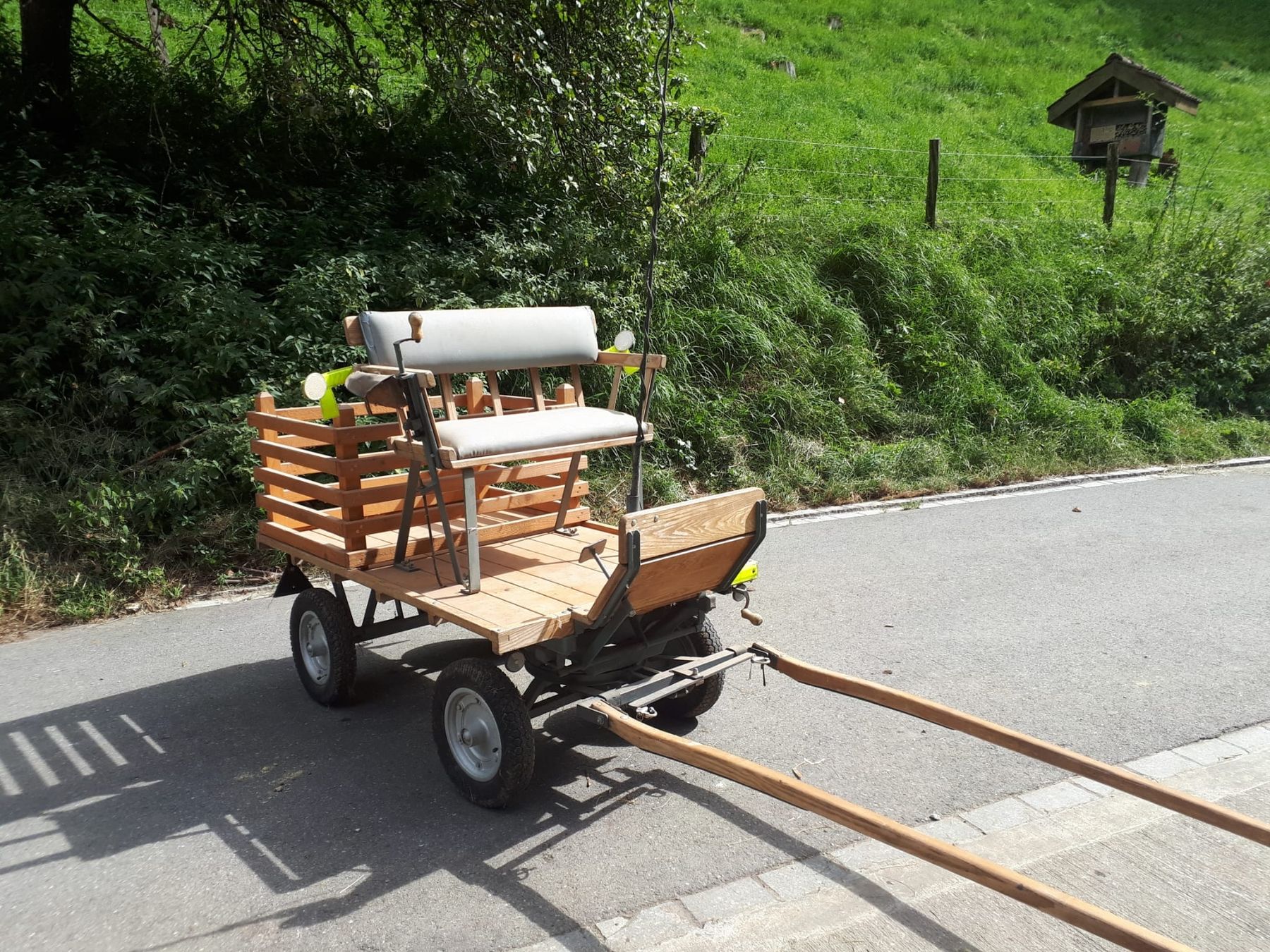 Carrozze: Kleine Kutsche für Pferde Esel oder Pony – Usato da Hemmental venduto da ruffy20002