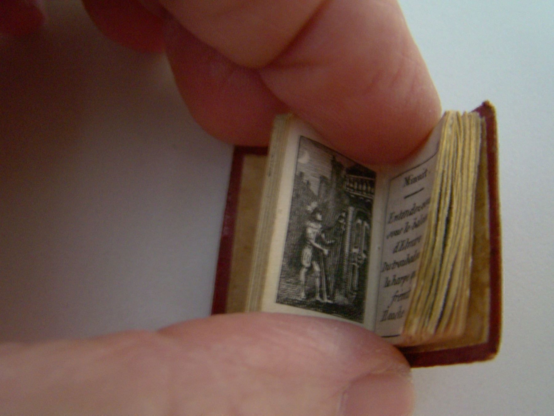 Bücher: Kleines Buch Maroquin Leder, Goldschnitt – Gebraucht aus Näfels von gil_sindamel 5