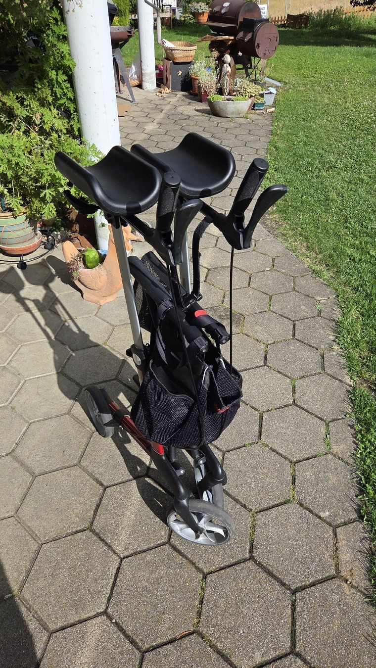 Ausili per la deambulazione: Birkenrot Indoor Rollator – Usato da Pfeffikon LU venduto da Spiderpig1991 2