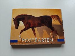 Pferde Postkarten 28. Stk.