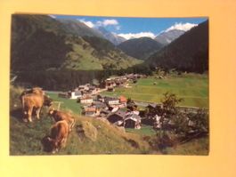 Oberwald Goms Wallis Kühe