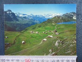 MEOLCHSEE-FRUTT TANNALP AK ONW