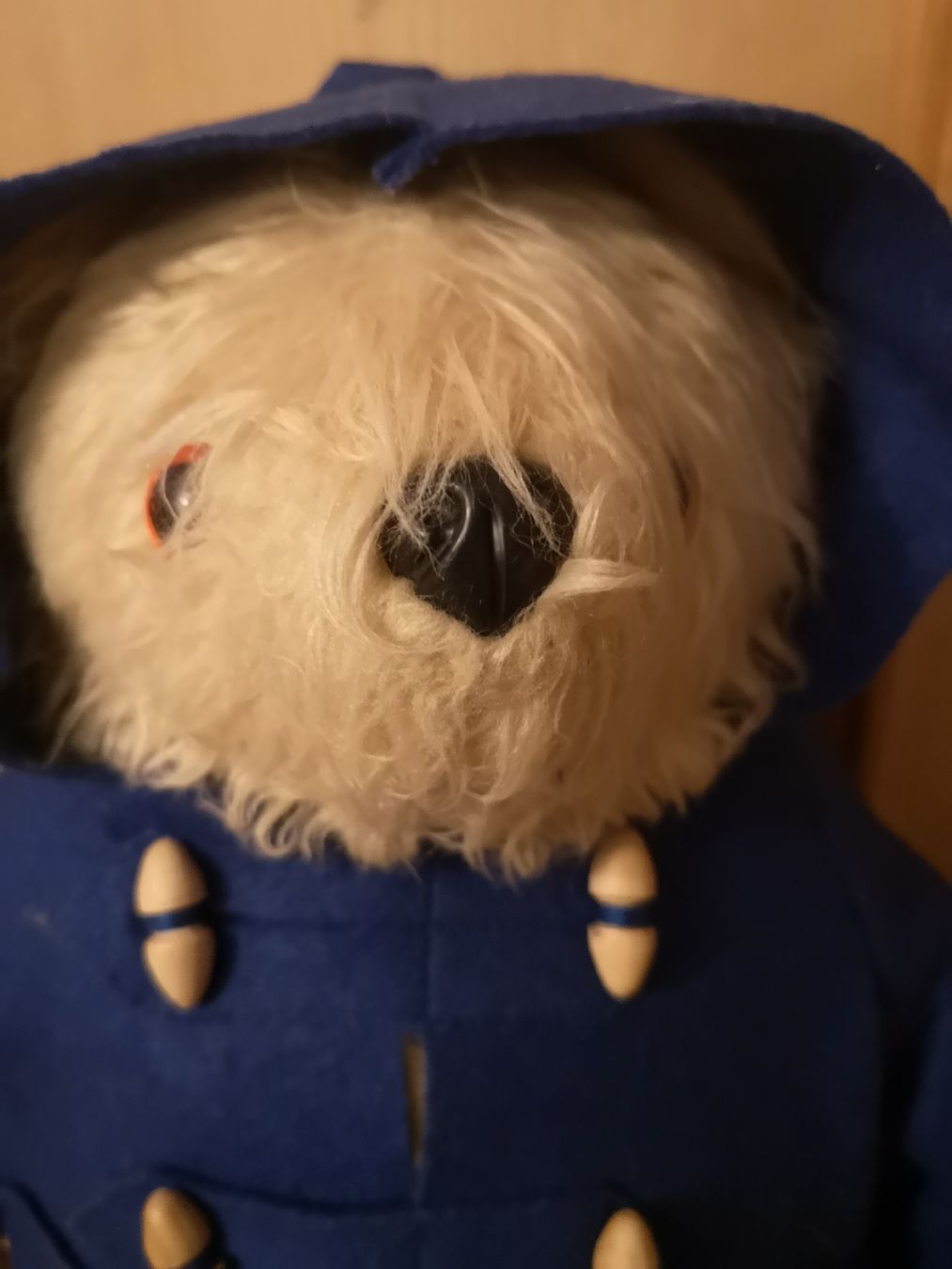 Spielzeuge: PADDINGTON PLÜSCHBÄR – Gebraucht aus MUEHLEBERG von Cocolinette 1