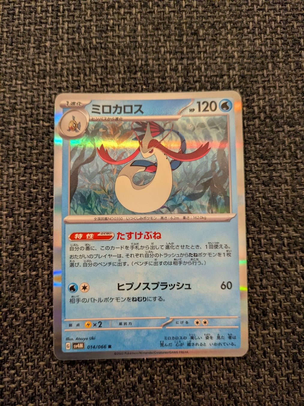 Pokémon Carte collezionabili: MILOTIC, FUTURE FLASH, 14/66, RARE, 2023, JAP, EXC – Usato da Losone venduto da AlpineLayer