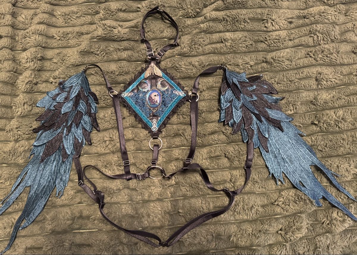 Kostüme: Steampunk Flügel Harness Damen neu – Neu (gemäss Beschreibung) aus Rüti ZH von Mysticphoenix.mel