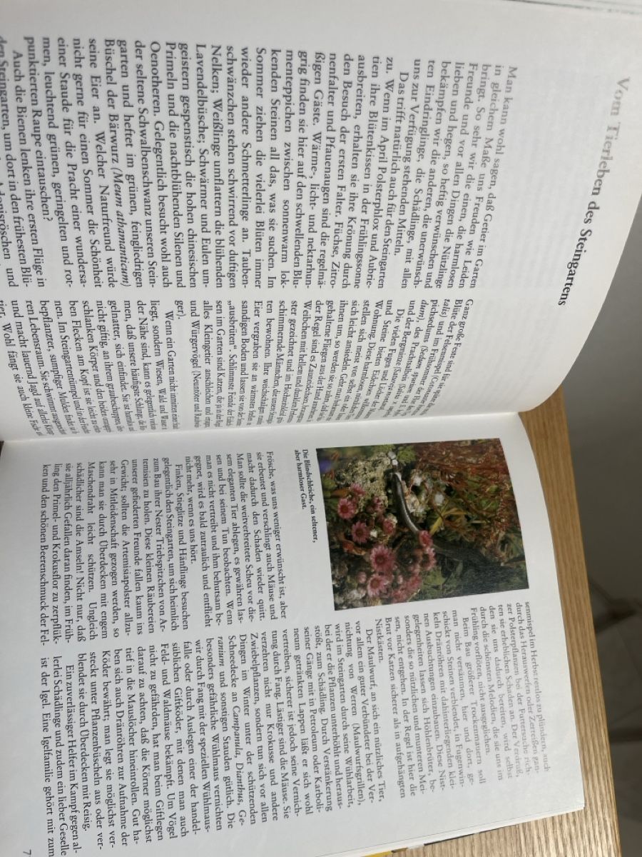 Livres: Buch DER STEINGARTEN von Wilhelm Schacht – Neuf (Voir description) à Kaisten par saleforfun 2