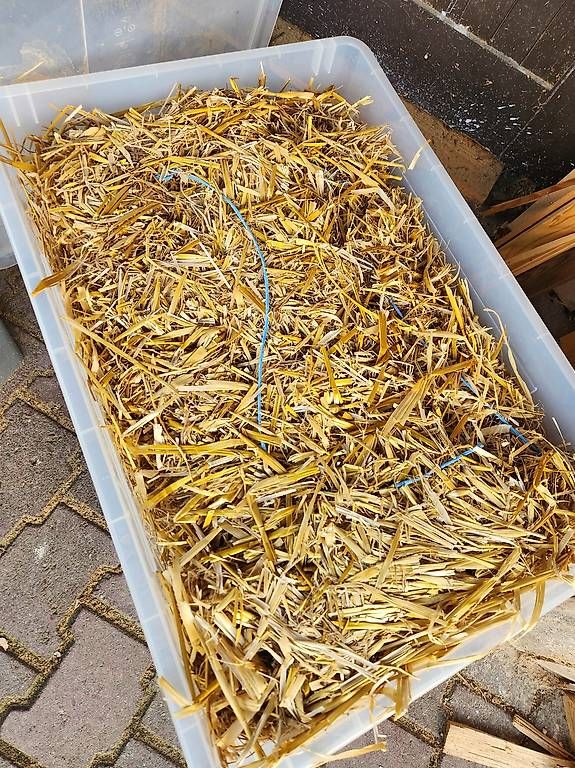 Transportkisten: Stroh mit Plastikkiste – Neu (gemäss Beschreibung) aus Ruppoldsried von ChinRupsi