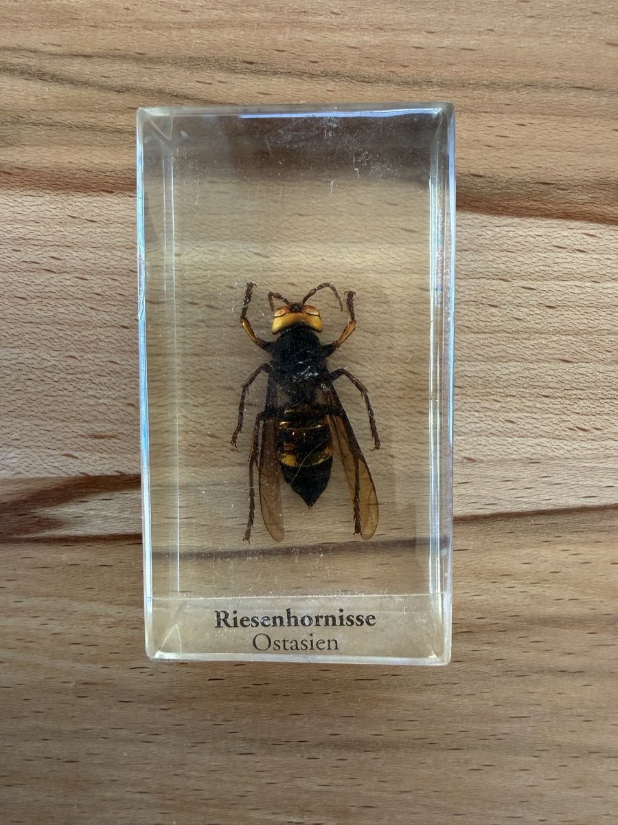 Riviste & Magazine: Mini Biester Heft und Block Nr. 4 – Usato da Grenchen venduto da Bastet007 2