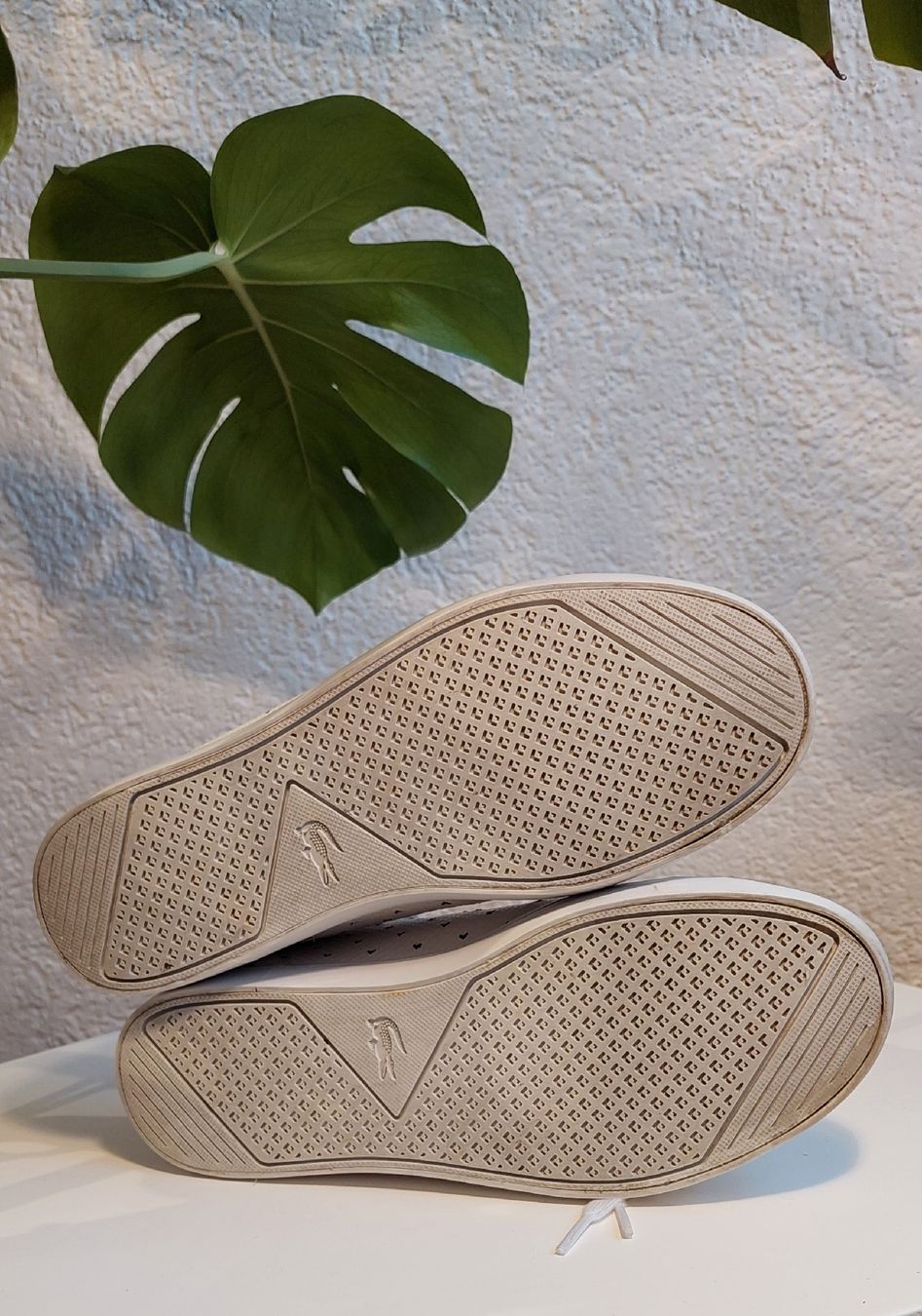Lacoste Scarpe da donna: Lacoste Sneaker Gr 37 – Usato da Zizers venduto da toasty01 8
