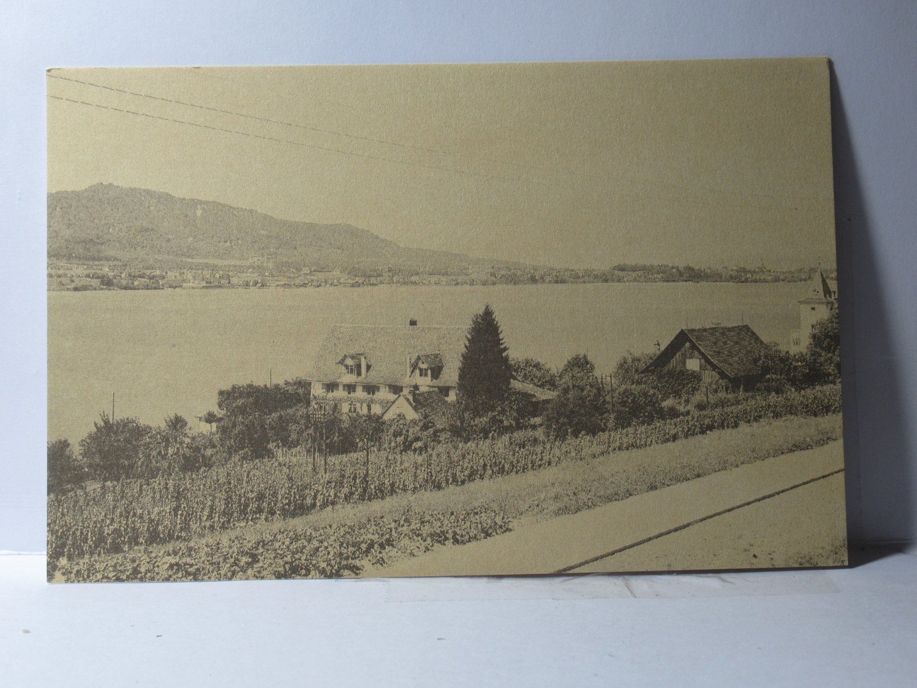 Cartoline postali: Zollikon , Landsitz Traubenberg um 1910 – Nuovo (secondo la descrizione) da Grenchen venduto da Bluemchen1900