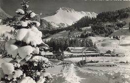 Hotel Restaurant Gypsera Schwarzsee Fribourg