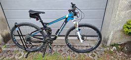 Bergamont Carbon Velo
