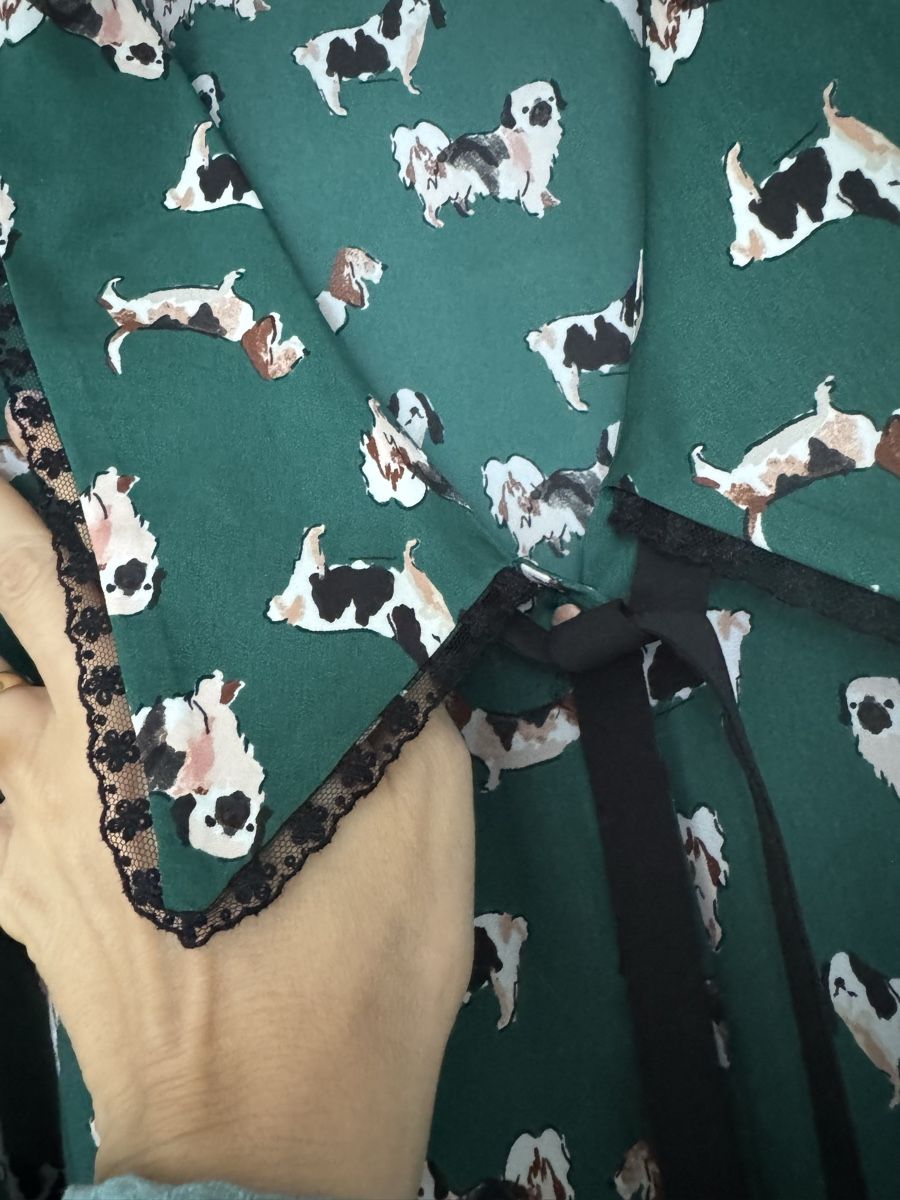 Zara Blusen: Zara Bluse – Neu (gemäss Beschreibung) aus Obfelden von cesarina10 1