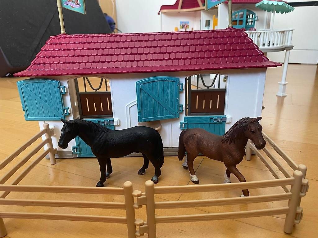 Giocattoli: Schleich Pferdehof Lakeside   – Usato da Zürich venduto da Damulinu 4