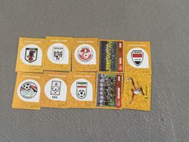 Panini WM 2006 Sticker Konvolut guter Zustand