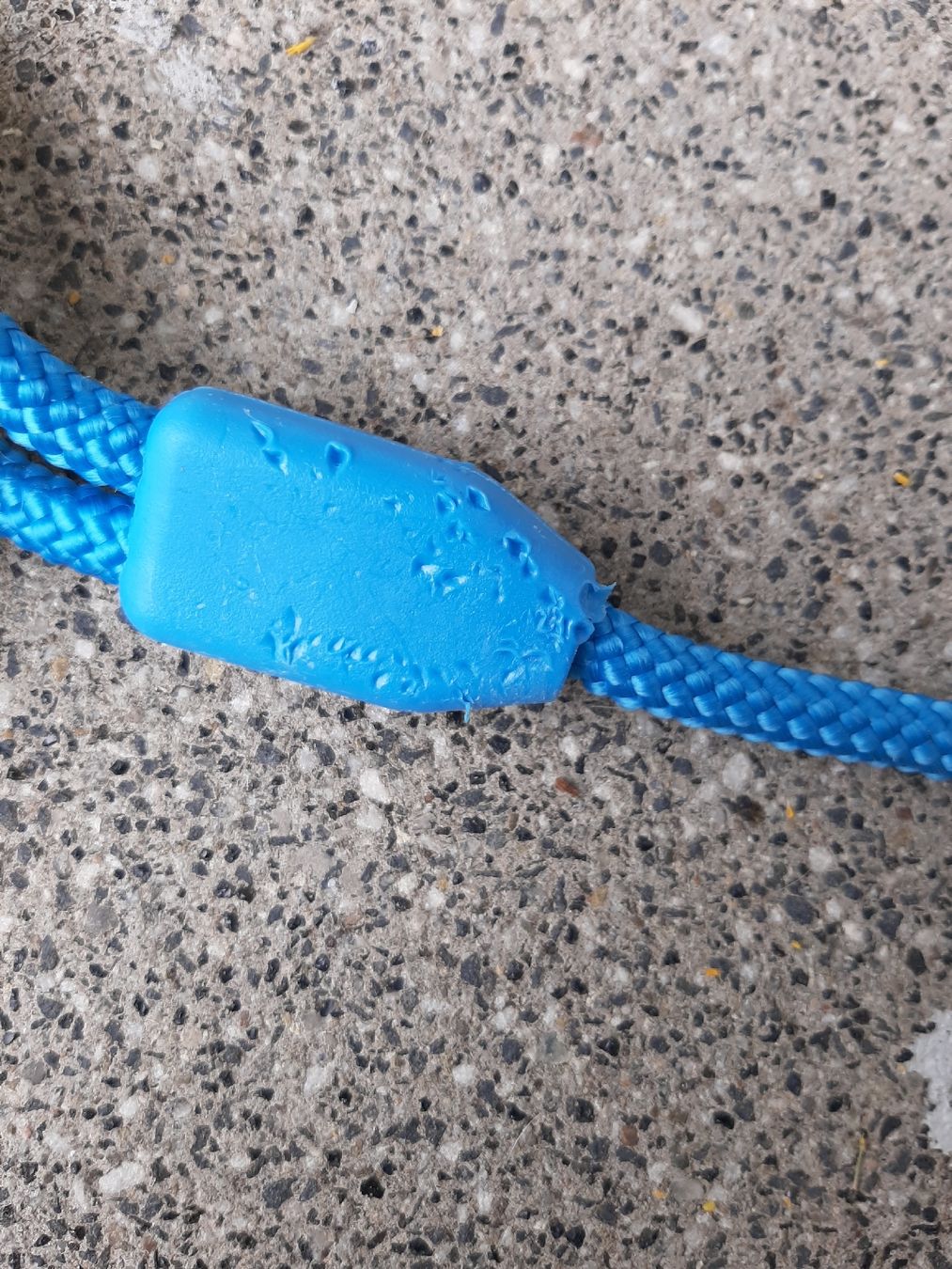 Spielzeuge: Hunde Spielzeug Swisspet Pull-Toy – Gebraucht aus Rothenthurm von Michele_1967 1