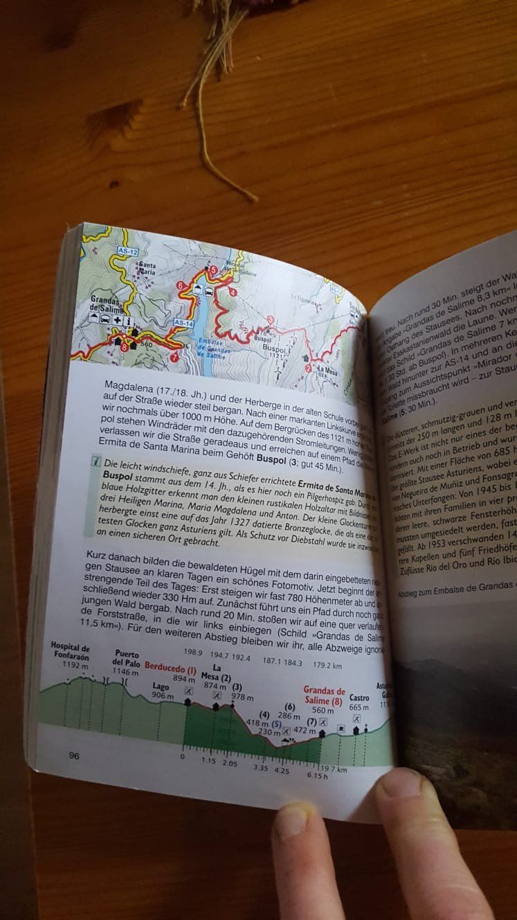 Libri: Rother Wanderführer Camino primitivo – Usato da Matten b.Interlaken venduto da Zambala1 3