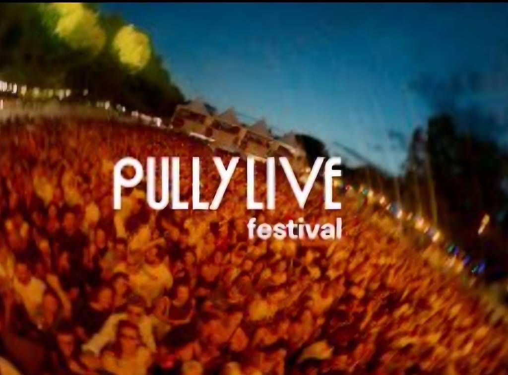 Pullover & Sweatshirts: Pully Live Festival  – Gebraucht aus Montbrelloz von lodoud