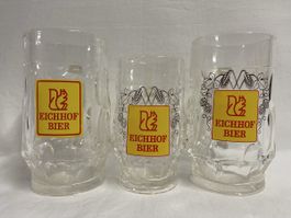 BRAUEREI EICHHOF LUZERN 3 KUNSTSTOFF BIER-KÜBEL