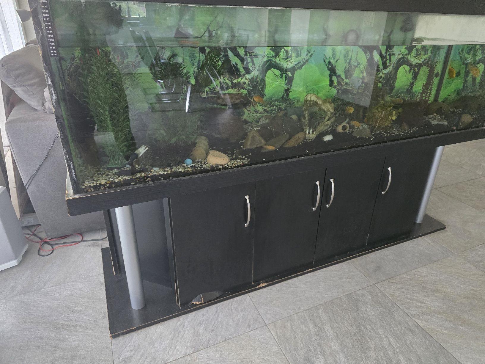 Acquari: Aquarium mit Unterschrank und Filter – Usato da Giswil venduto da cavalier04 1