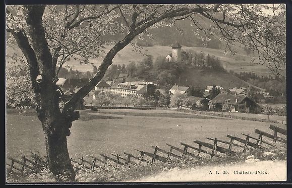 Cartes postales: Château-d'Oex, Teilansicht mit Bäumen – D'occasion à Berlin par bartko-reher