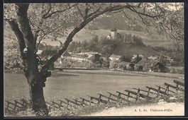 Château-d'Oex, Teilansicht mit Bäumen