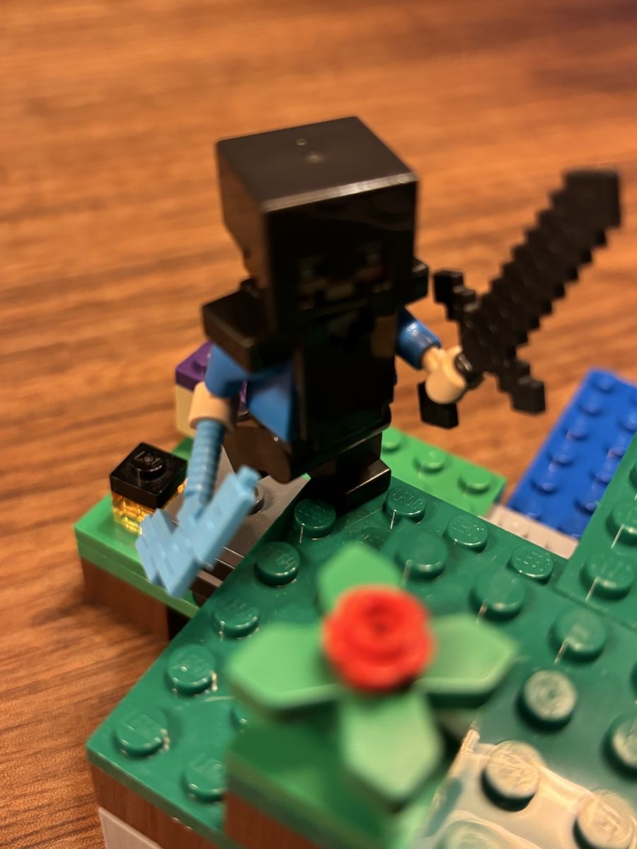 Lego Spielzeuge: Lego Minecraft 21172 – Neu (gemäss Beschreibung) aus Allschwil von CaSu- 1