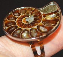 Ring L-6173 – Ammonit Fossil – Grössenverstellbar