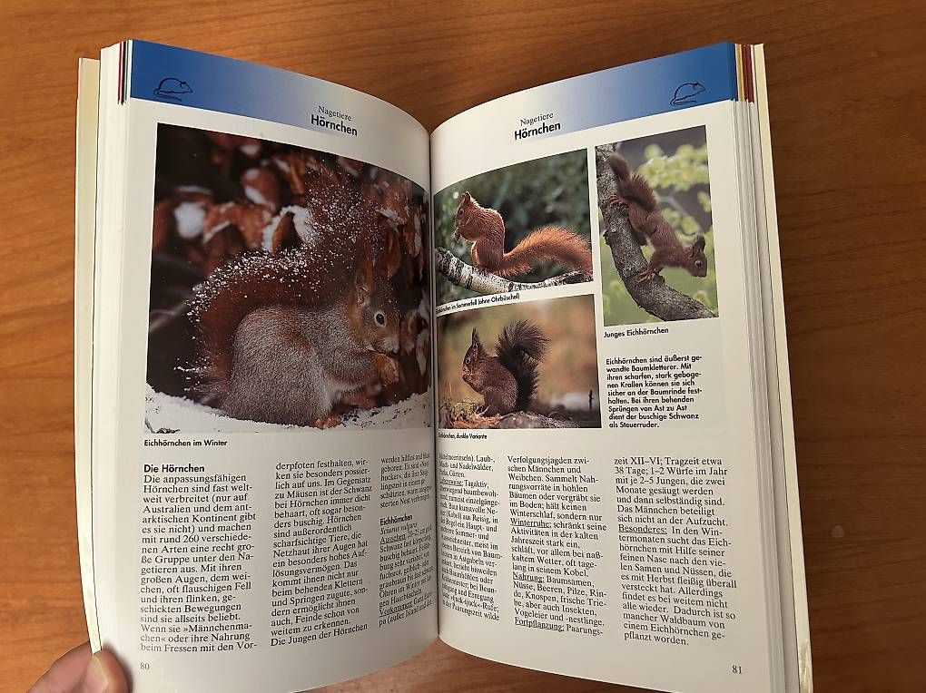 Libri: Tiere - in Natur und Garten – Usato da Zollikerberg venduto da sel_99lq 2