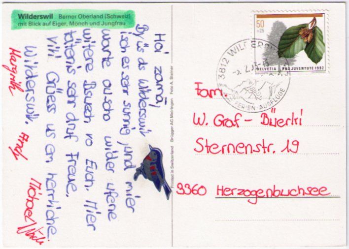 Cartoline postali: Wilderswil - Blick auf Eiger + Mönch – Usato da Binningen venduto da Mountainrider 1