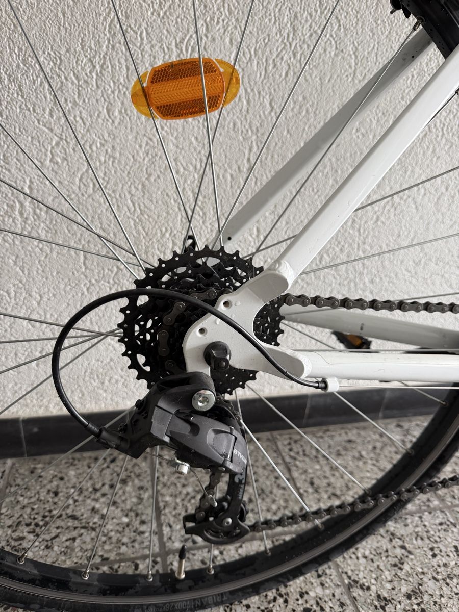 Decathlon Biciclette: Rennvelo Triban Neuwertig – Usato da Stansstad venduto da 91PD 6