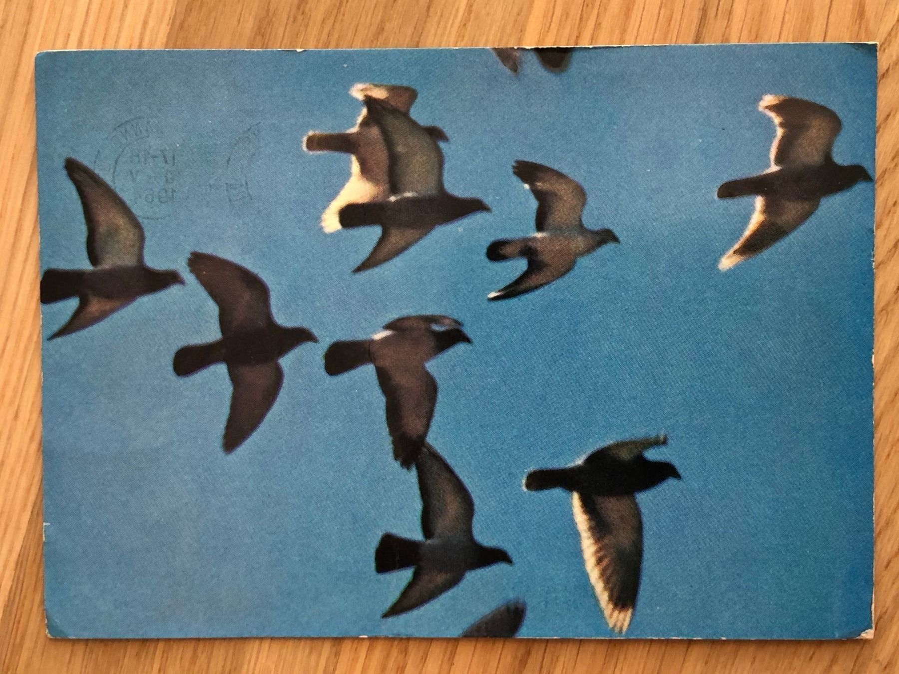 Ansichtskarten: Postkarte Expo 1964, PTT-Pavillon – Gebraucht aus Biel/Bienne von TomBaBi 1