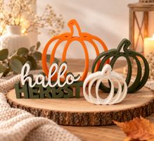 Herbst Dekoration Kürbis Set neu