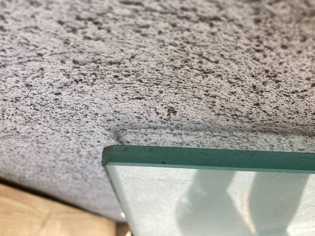 Bicchieri: Glasplatte – Usato da Reutigen venduto da fb41 1