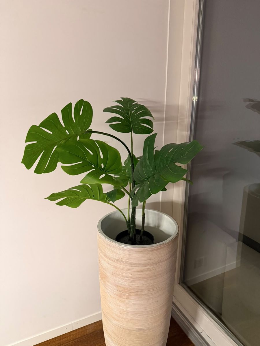 Tutte le decorazioni: Künstliche Monstera Pflanze  – Usato da Uster venduto da patriziabee