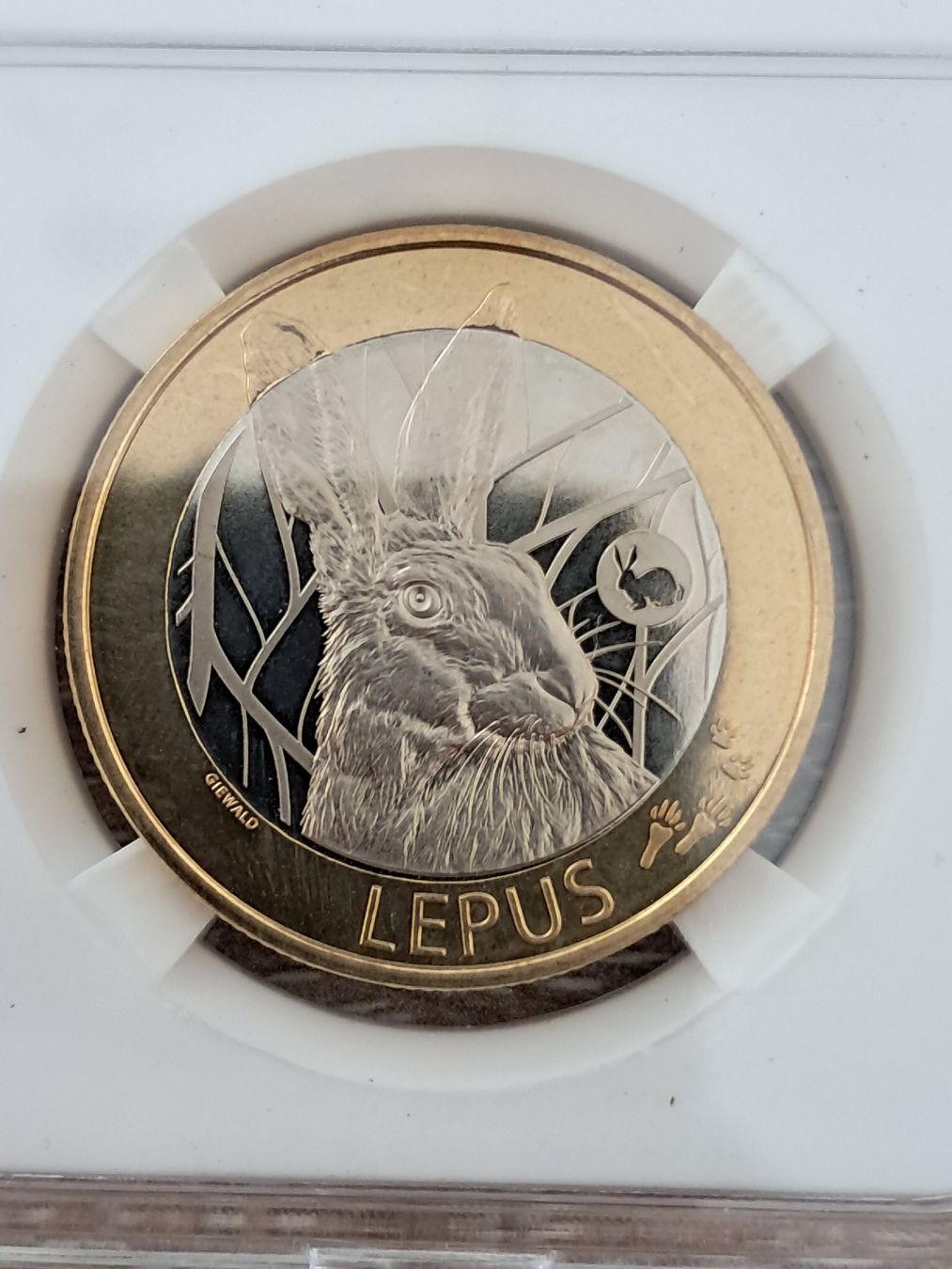 Toutes les monnaies: 10 Franken Lepus 2020 Gedenkmünze – Neuf (Voir description) à Diegten par mar_2w8m