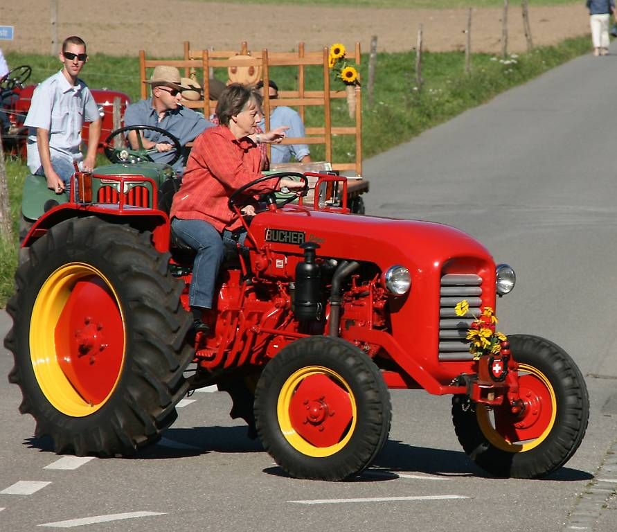 Trattori: Traktor Oldtimer Bucher D1800 mit neuer MFK – Usato da Birr venduto da kaffeeleuchten 2