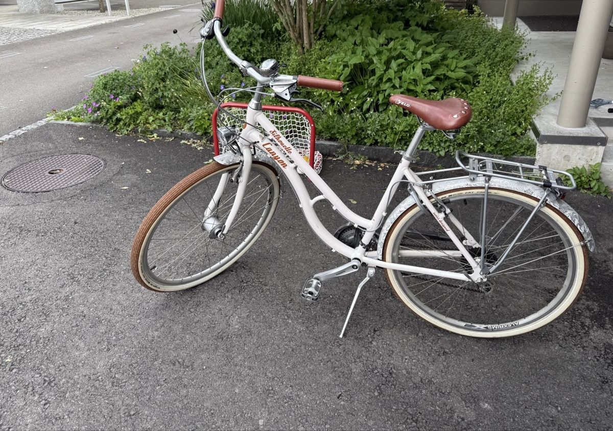 Citybike Damenfahrrad Silhouette Canyon, Rahmengrsse M (Gebraucht) in  Hnenberg fr CHF 100  nur Abholung auf Ricardo kaufen