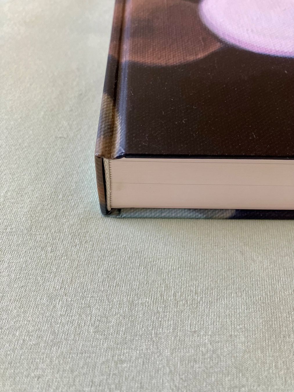 Libri: Pascal Danz Werkverzeichnis / Catalogue raisonné. – Usato da Zürich venduto da mou_j96c 8