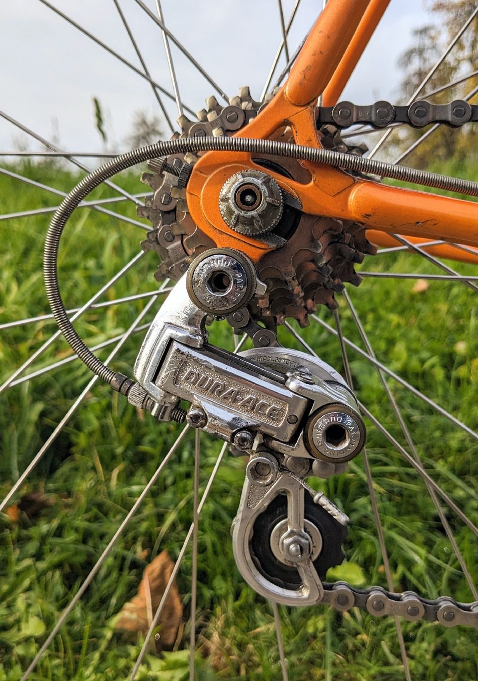 Koga Biciclette: Koga Miyata Gentluxe-S – Usato da Muolen venduto da Weltkulturerbe-Typ17 5