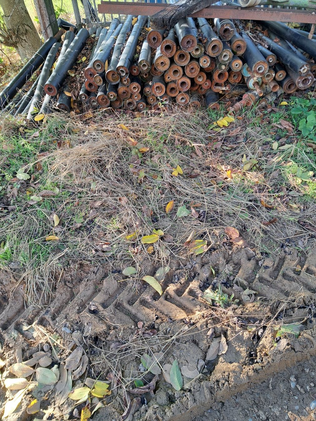 Zäune: Weidepfosten – Gebraucht aus Hornussen von Mwie1 1