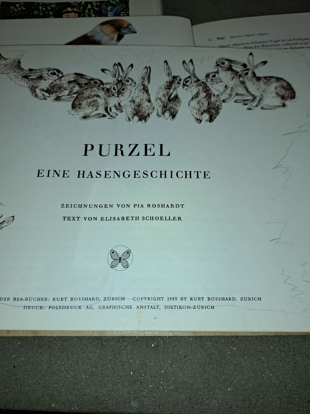 Libri: Alte Kinderbücher: Einheimische Vögel + Purzel-Hasengesch. – Usato da Kölliken venduto da Upcycling-by-Mc-TAM 5