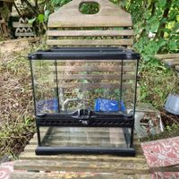 Terrarium Glas