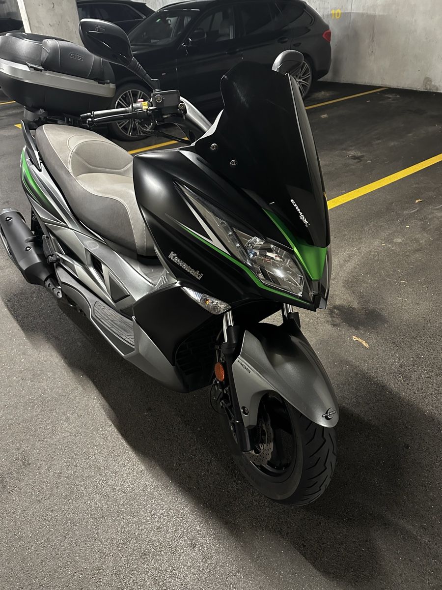 Kawasaki Altro: Kawasaki J300 – Usato da Visp venduto da Swissedize