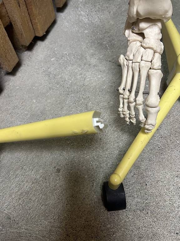 Kit di modellismo & Modellini statici: Menschliches Skelettmodell – Usato da Zürich venduto da bab_dht2 3