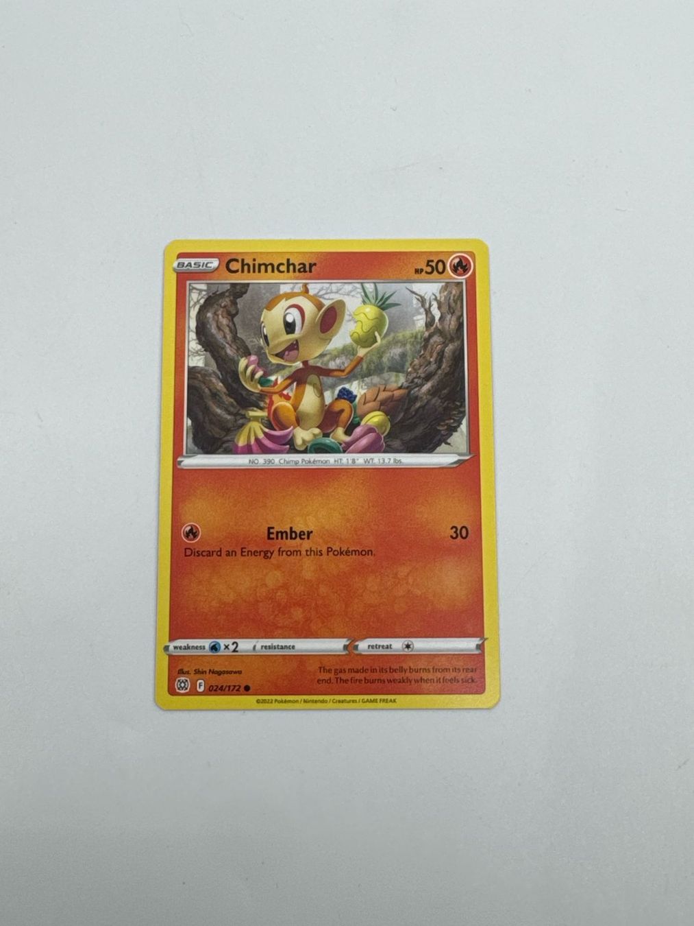 Pokémon Carte collezionabili: Pokemon-Karte Chimchar 024/172 – Usato da Herisau venduto da Seyashop1