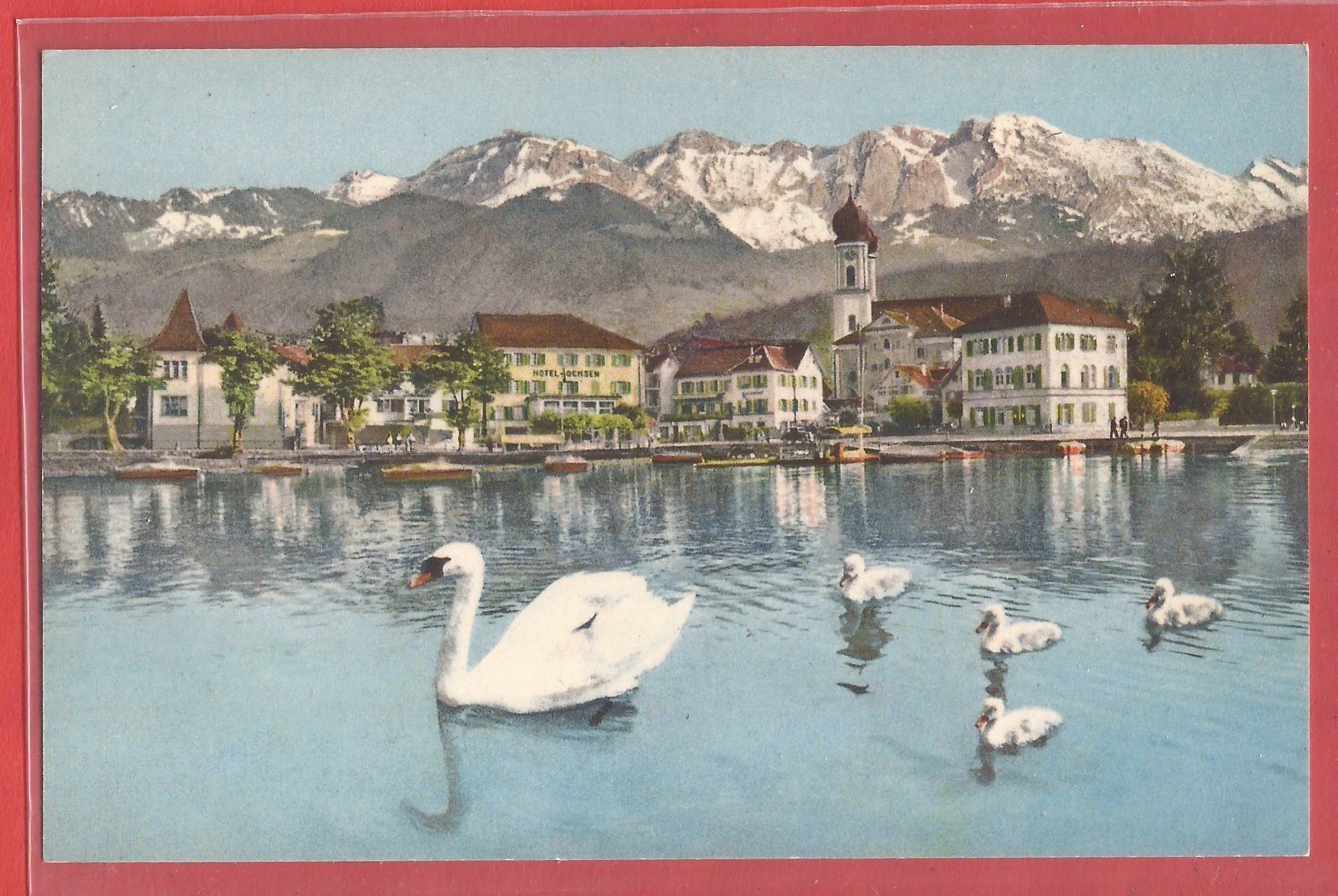 Cartoline postali: Lachen SZ - Schwäne - ca. 1925 – Usato da Fislisbach venduto da Porano
