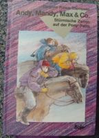 stürmische zeiten auf der pony farm